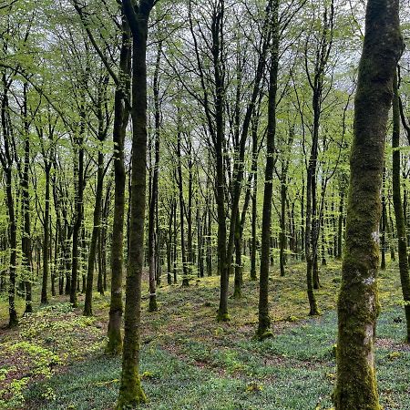 Mullaghmeen Forestマリンガー エクステリア 写真