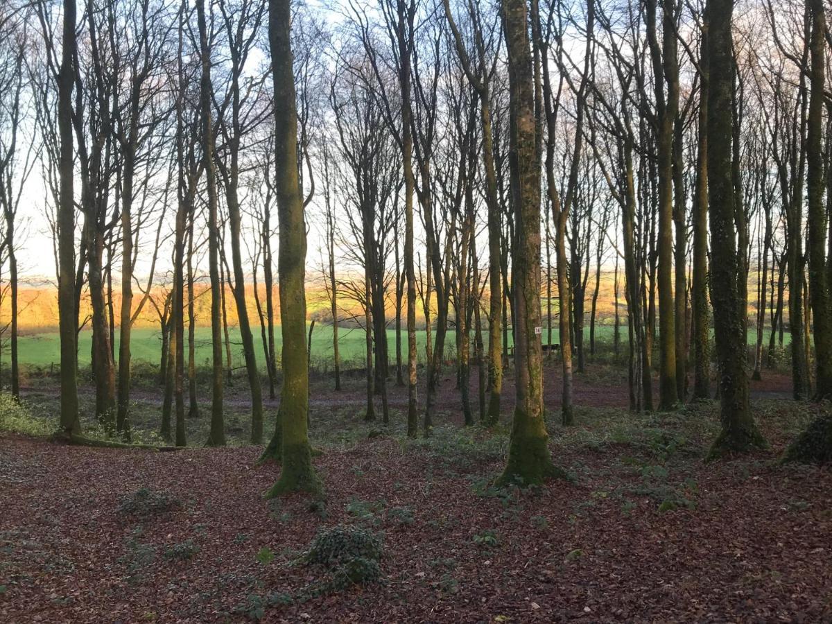 Mullaghmeen Forestマリンガー エクステリア 写真