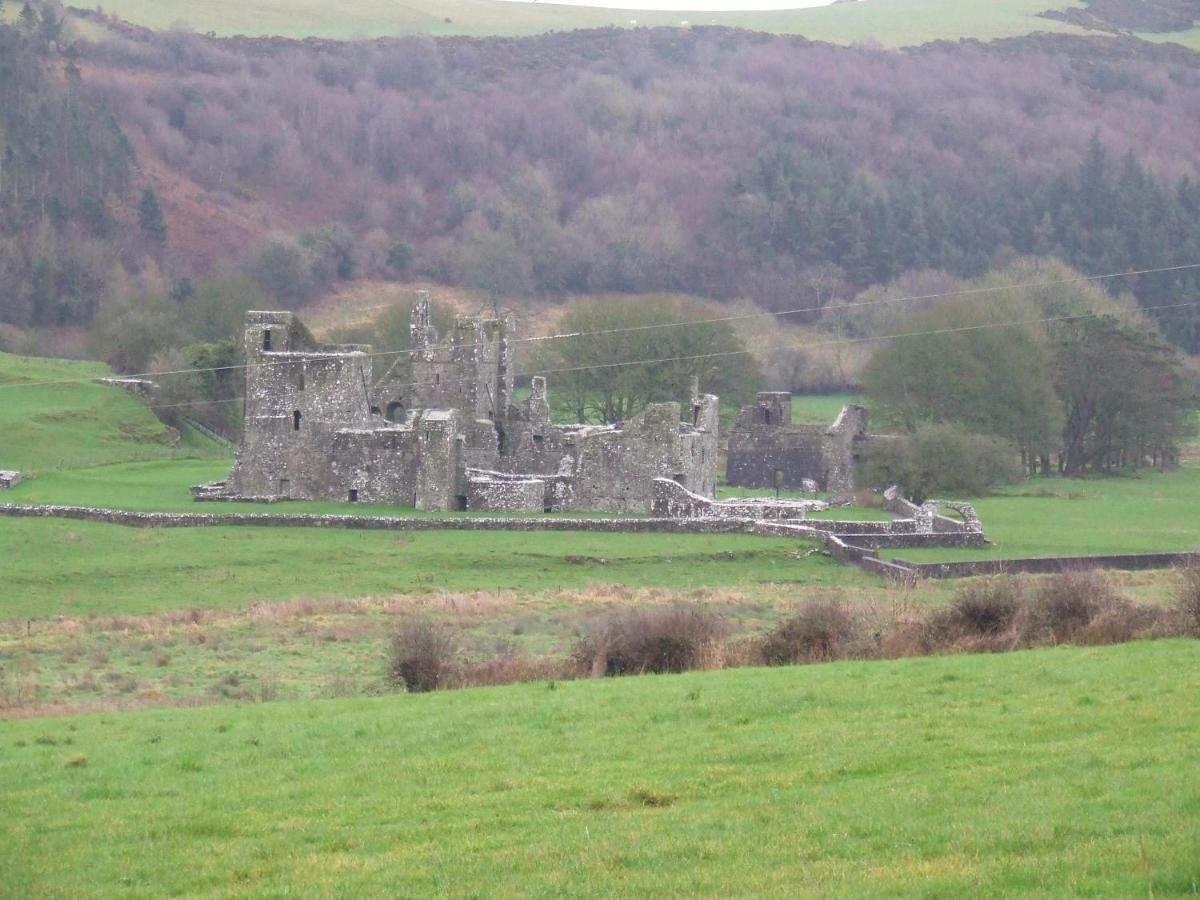 Mullaghmeen Forestマリンガー エクステリア 写真
